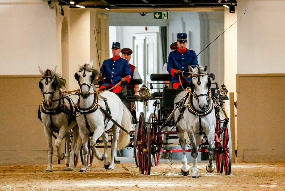 Spanish Riding School Tickets & Info ConcertVienna